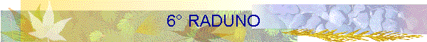 6 RADUNO