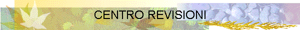 CENTRO REVISIONI