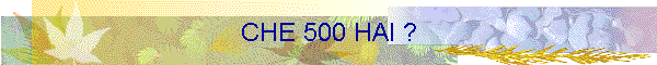 CHE 500 HAI ?