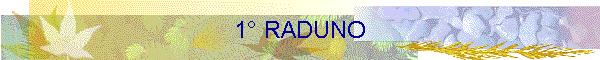1° RADUNO