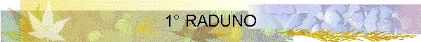 1� RADUNO
