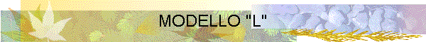MODELLO "L"