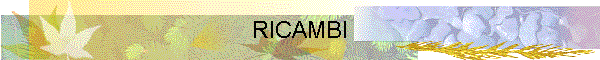 RICAMBI