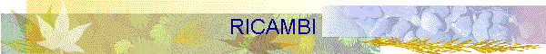 RICAMBI