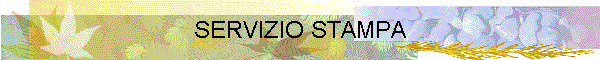 SERVIZIO STAMPA
